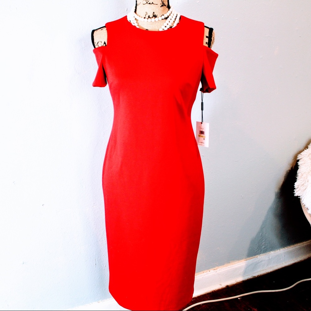 Calvin Klein NWT shift dress